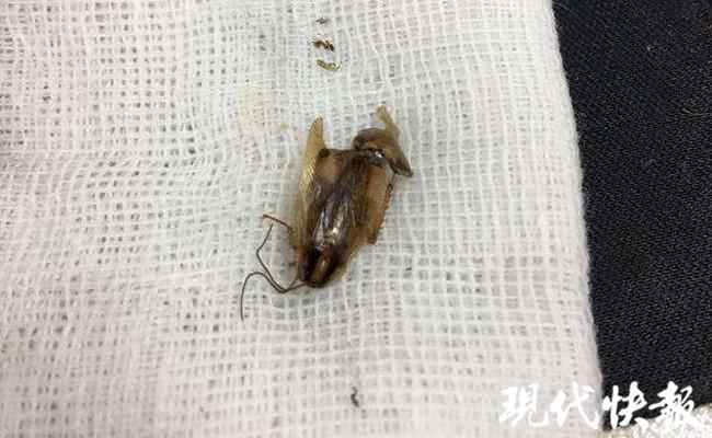 第386页