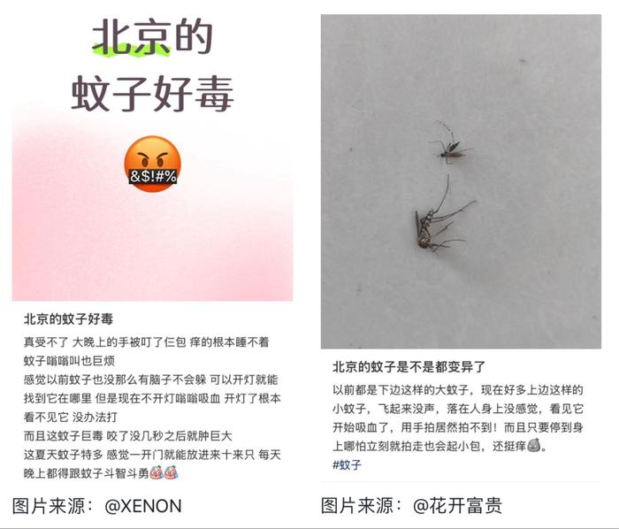 最毒蚊子批量北上最毒蚊子批量北上，警惕夏季传染病传播风险