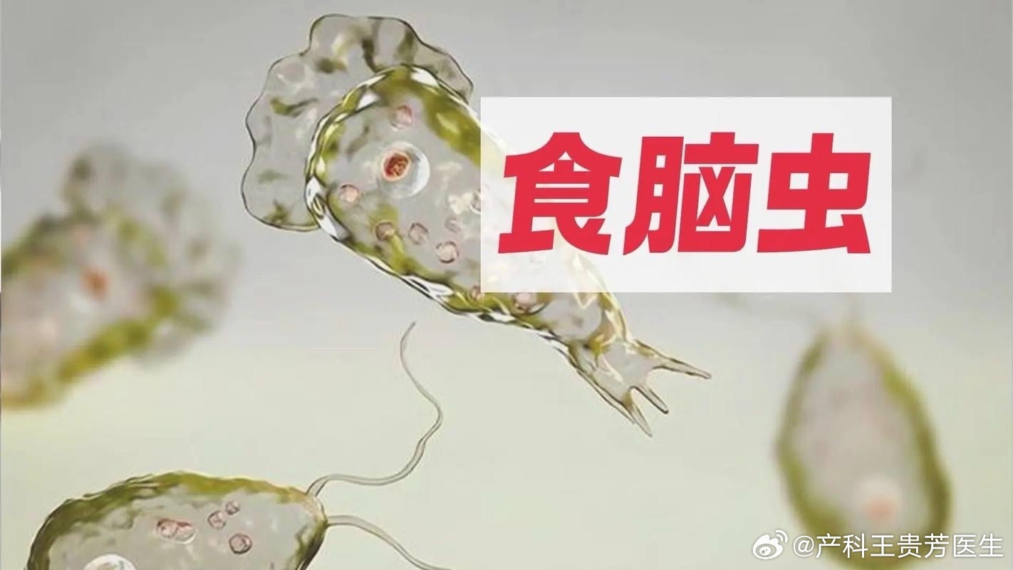 感染食脑虫60天去世食脑虫感染，生命的威胁与应对之道