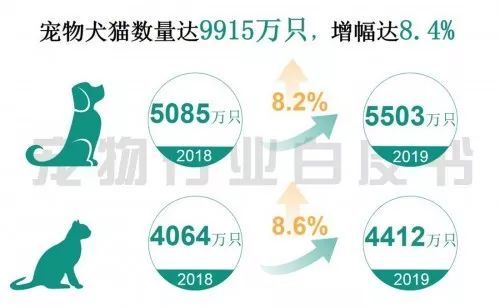 中国60%的宠物猫狗来自辽宁中国宠物猫狗的重要源头——辽宁，揭秘背后的故事